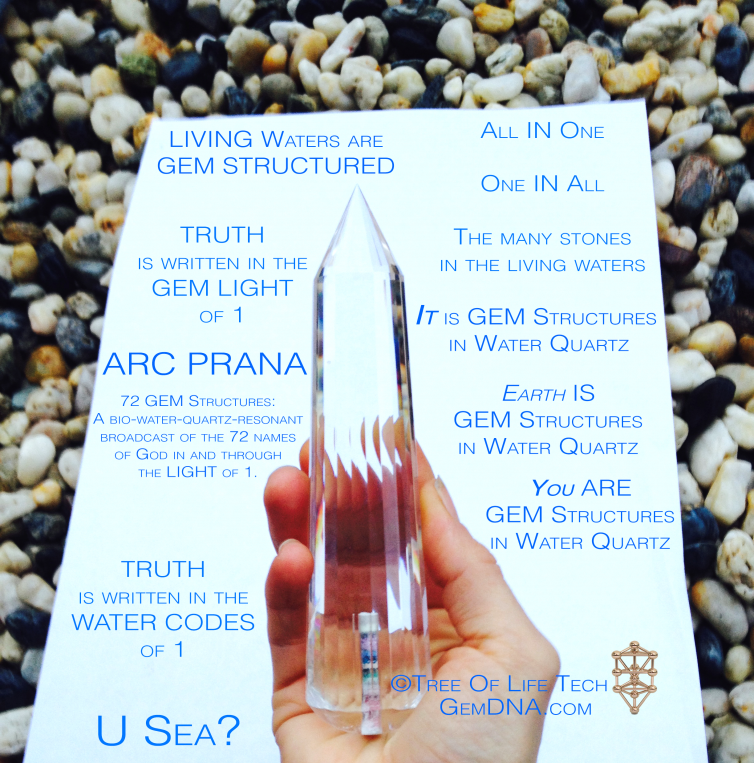 GEM DNA ARC PRANA