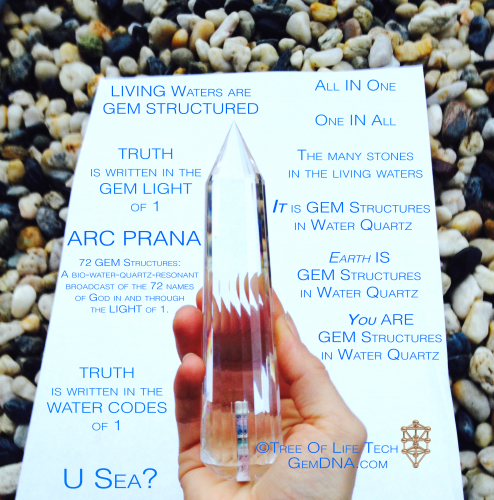 GEM DNA ARC PRANA