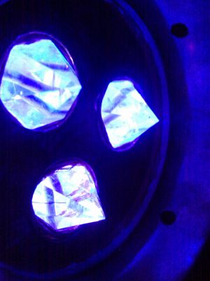 IMAG0789